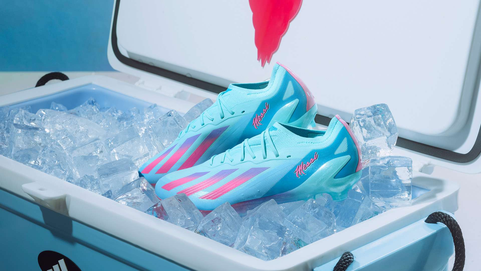 作为东道主 作为东道主